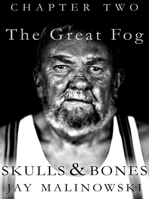 Cover image for The Great Fog: (Letters From a Sailor to His Long Lost Granddaughter)